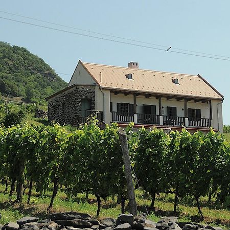 SomlojenoSed Pince Vendeghaz公寓式酒店 外观 照片