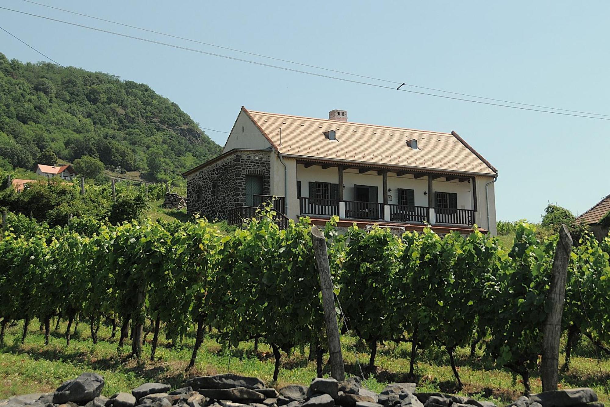 SomlojenoSed Pince Vendeghaz公寓式酒店 外观 照片